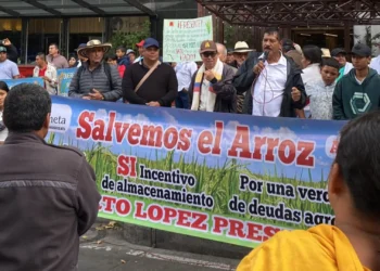 Industrias molineras están incumpliendo acuerdos tras paro arrocero