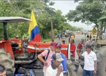 Industria molinera incumpliría acuerdo arrocero y productores amenazan con nuevo paro en Tolima