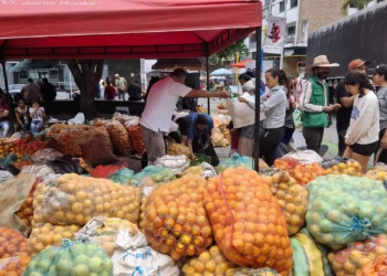 Naranjatón en Ibagué salvó la cosecha de San Antonio