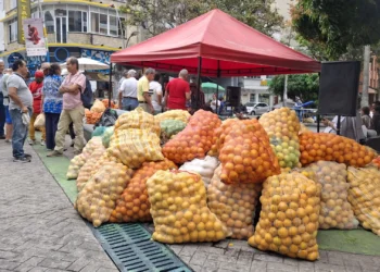 Ibagué apoya la Naranjatón 2.0 este domingo en el Parque Murillo Toro