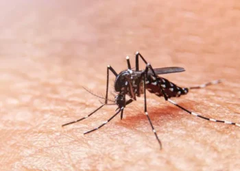 Dengue en Ibagué golpea con fuerza a los menores de edad