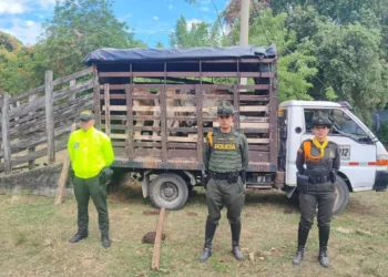 Recuperan ganado robado en Natagaima durante operativo en zona rural de Ortega