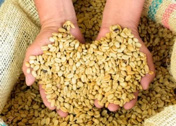 Cafés de Ibagué se abren paso en mercados internacionales