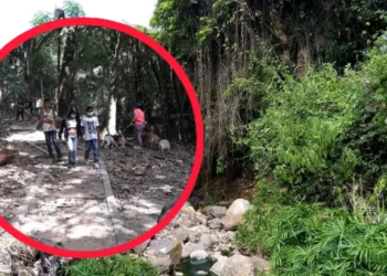 Ibagué se une al Día Mundial de la Limpieza con jornadas simultáneas