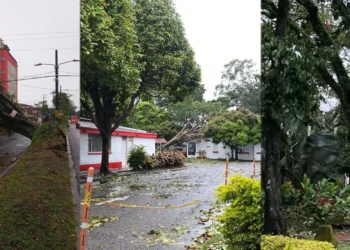 Tormenta eléctrica causa daños y emergencias en varios sectores de Ibagué