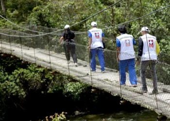 Ibagué fortalece equipos básicos de salud con más de 700 profesionales