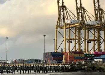 El agro impulsa las exportaciones: Colombia supera los US$3.842 millones en agosto