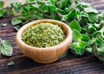 Hierbas Aromáticas Colombianas Aromatizan el Mundo: Exportaciones Superan los US$44,9 Millones