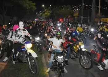 Mapa presentado por Petro demuestra reducción de cultivos de coca