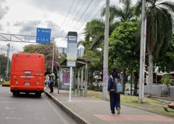 Ibagué estrena paraderos del SETP: así debe usarlos