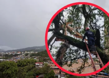 Emergencias por intensas lluvias afectaron varios sectores de Ibagué durante el puente festivo