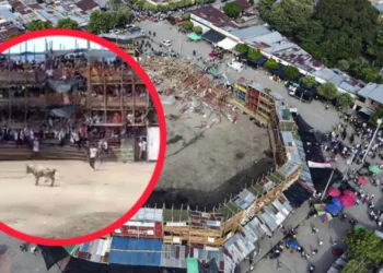 Fallo judicial culpa a la Alcaldía de El Espinal por tragedia en corralejas