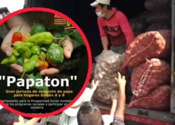 Gran “Papatón” de Prosperidad Social entregó 70 toneladas de papa en Ibagué