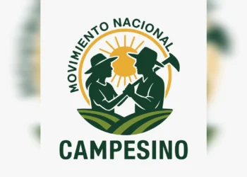 Campesinos buscan llegar al Congreso: nace el Movimiento Nacional Campesino en Colombia