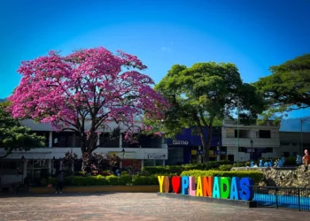 Juez ordena a la Unidad de Víctimas cumplir de inmediato con campañas en el sur del Tolima