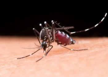 Tolima reaviva alerta sanitaria por tres nuevos casos de fiebre amarilla