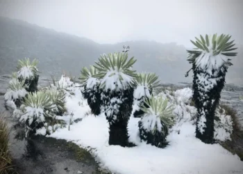 Nevada histórica impulsa controles en el Parque El Cocuy