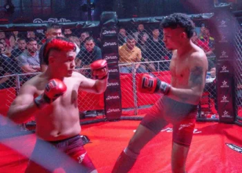 ​¡Las MMA a Ley! Proyecto 471 de 2025 Busca Oficializar el Deporte y Abrir Recursos Institucionales