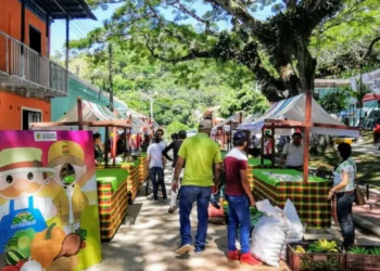 San Bernardo dinamiza el turismo rural en Ibagué con miradores y gastronomía típica