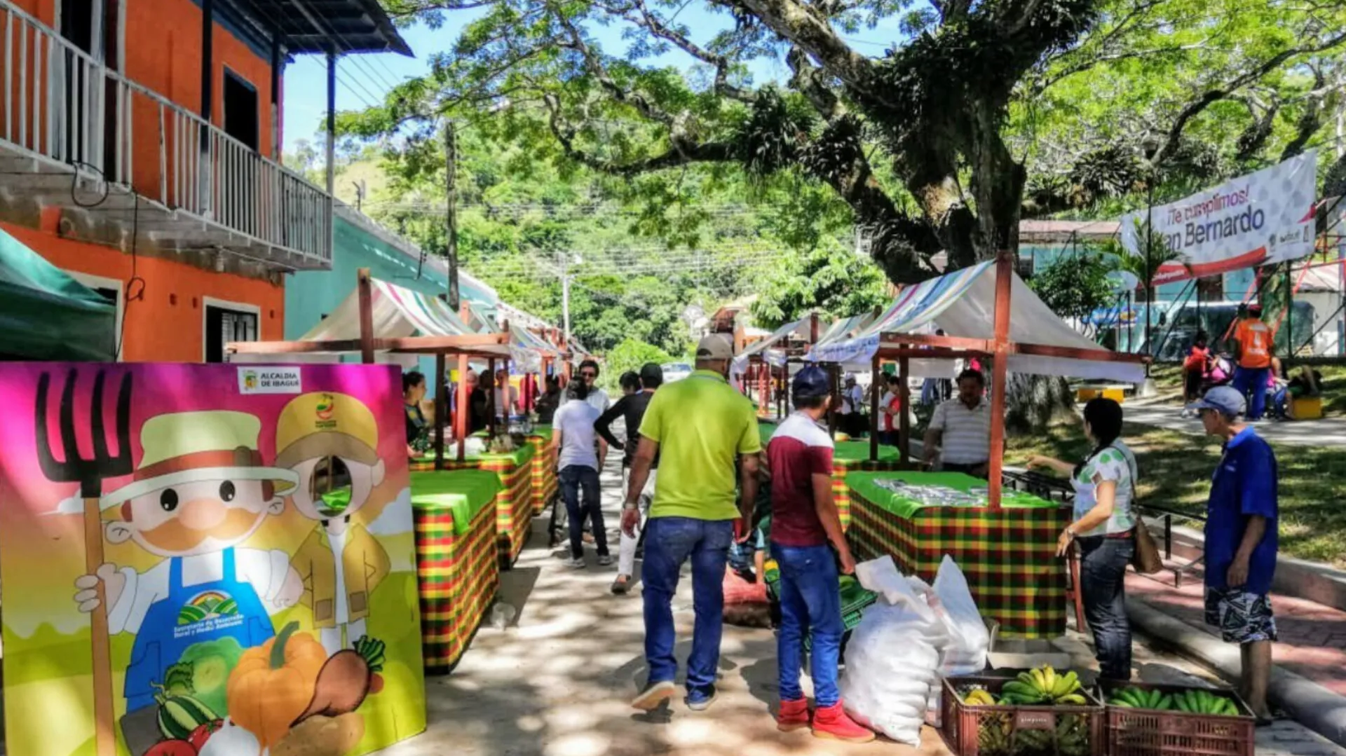 San Bernardo dinamiza el turismo rural en Ibagué con miradores y gastronomía típica