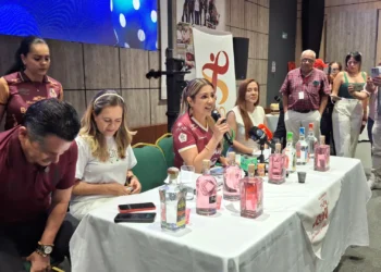 Tolima blinda la seguridad de fin de año con más de 7.400 uniformados