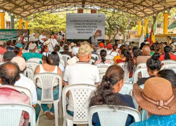 Tolima demanda ante el Consejo de Estado zonas de protección agrícola