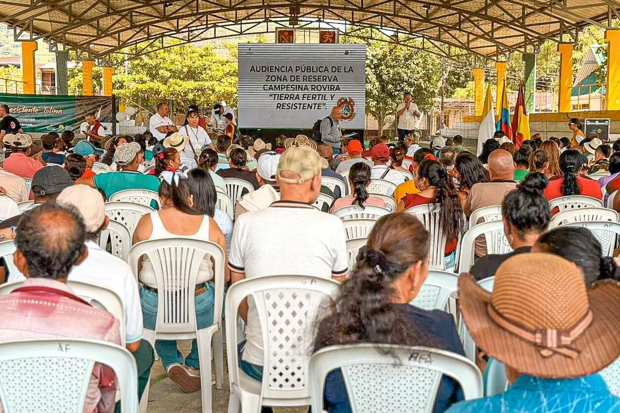 Tolima demanda ante el Consejo de Estado zonas de protección agrícola