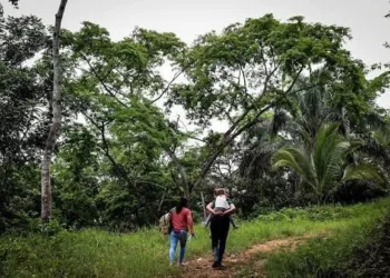 Denuncia violencia política en el sur del Tolima