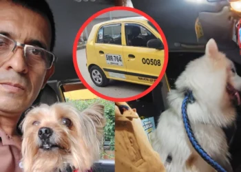 El taxista pet friendly que transporta mascotas en IbaguƩ