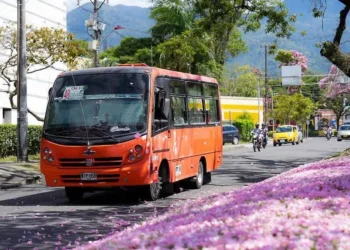 Cotrautol pide prudencia tras accidente mortal en el centro de Ibagué