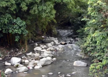 Tolima refuerza alertas por riesgos en paseos de río