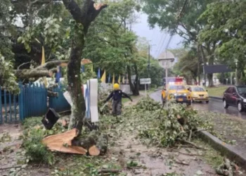 Lluvias se extenderán hasta febrero en Ibagué