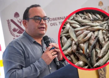 Pesca ilegal pone en riesgo el equilibrio del río Magdalena en Honda