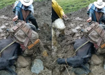 Crisis en vereda Samaria de Villahermosa: comunidad denuncia abandono