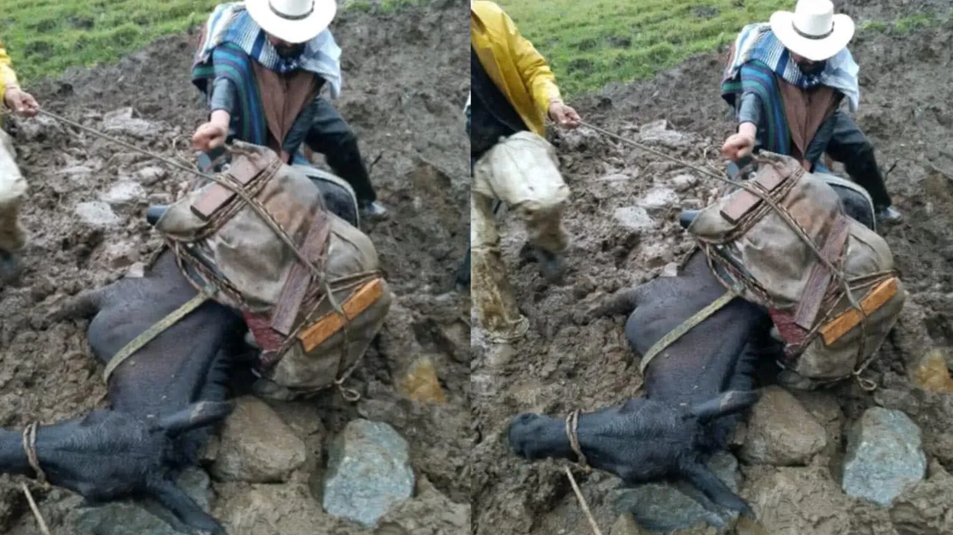 Crisis en vereda Samaria de Villahermosa: comunidad denuncia abandono