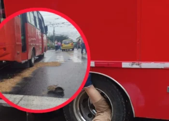 Adulto mayor muere tras ser arrollado por buseta en el centro de Ibagué