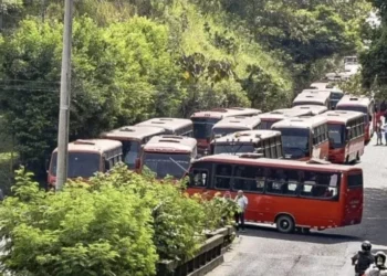 Convocan paro en Ibagué por alza del transporte público