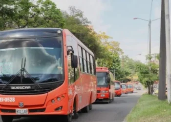 AsotransTol denuncia persecución al transporte legal en Ibagué