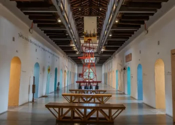 Museo Panóptico presenta muestra sobre instrumentos hechos con plantas