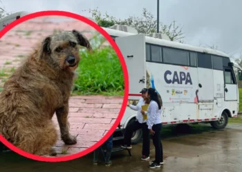 Personería alerta por escasez de alimento en el CAPA tras visita de inspección