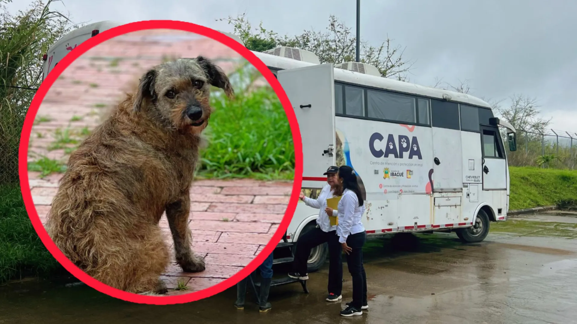 Personería alerta por escasez de alimento en el CAPA tras visita de inspección