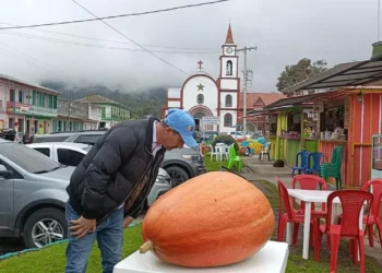 Murillo y regiones del Norte del Tolima son protegidos como zonas agrícolas