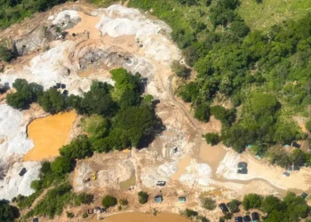 Minería ilegal arrasa más de 230 hectáreas en Ataco