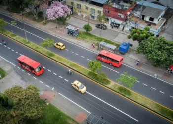 Carrera Quinta entra en recta final y estaría lista en un mes en Ibagué