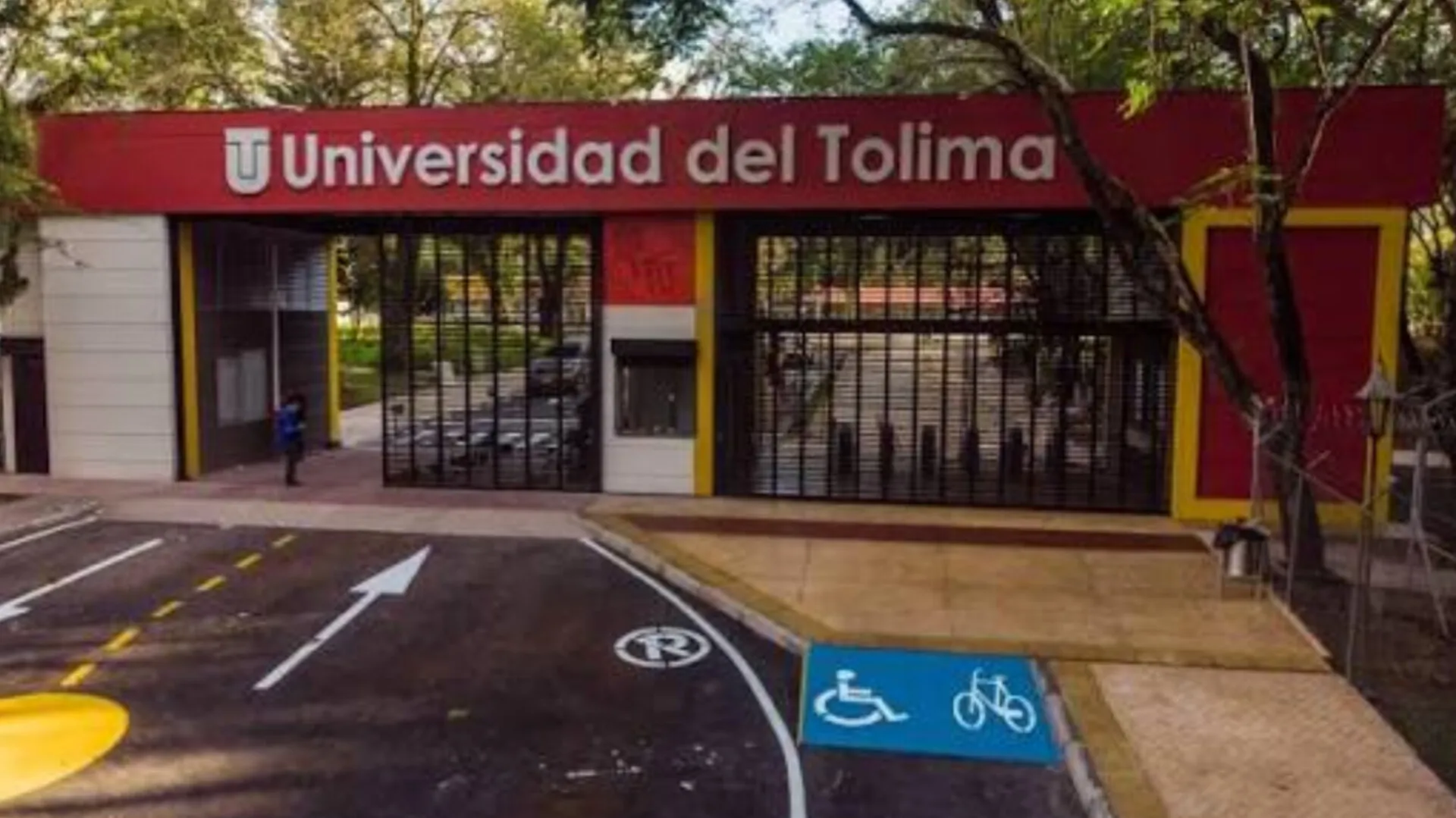 Universidad del Tolima ratifica sanción disciplinaria contra estudiante por violencia de género