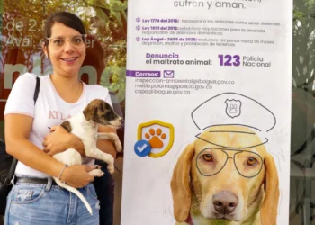 Nueve mascotas fueron adoptadas en jornada liderada por la Alcaldía de Ibagué