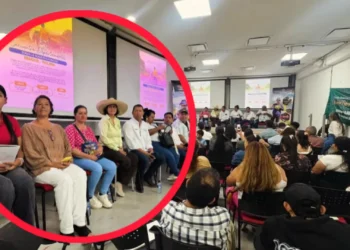 Impulsan red solidaria campesina en el Tolima