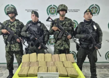 Incautan marihuana abandonada en vía hacia Ibagué