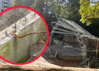 Advierten sanciones por retrasos en Parque Centenario