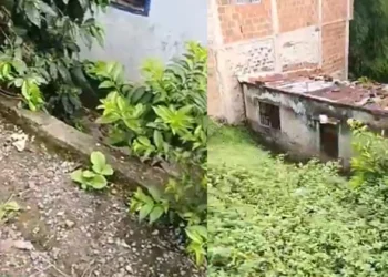 Alto de la Cruz en alerta por vía al borde del colapso